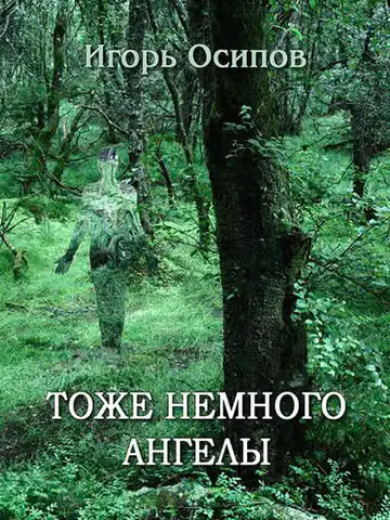 Обложка книги «Тоже немного ангелы»