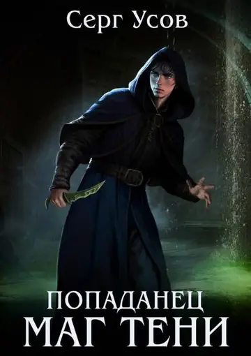 Обложка книги «Попаданец. Маг Тени. Книга 13»