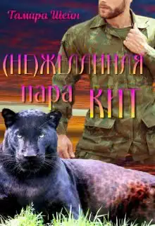 Обложка книги «(не) Желанная пара Кит (фанфик по серии Новые Виды)»