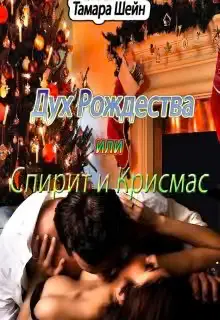 Обложка книги «Дух Рождества или Спирит и Крисмас»