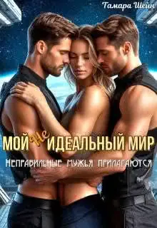 Обложка книги «Мой (не)идеальный мир. Неправильные мужья прилагаются»