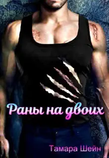 Обложка книги «Раны на двоих»